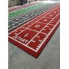 Customizable Premium Gym Grass: Elevate Your Sports Floor Mats with Personalized Colors and Patterns