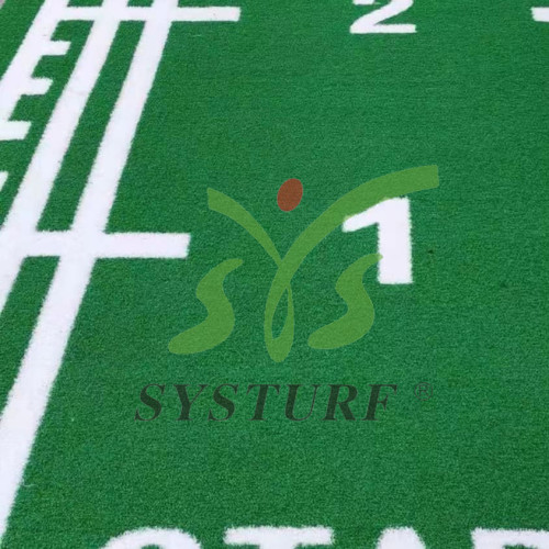 Herbe synthétique de gymnase d'herbe artificielle d'intérieur extérieur favorable à l'environnement d'enfants de SYS