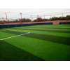 Wholesale Sports Artificial Grass for Mini Soccer Fields Synthetic Turf for Non-Filling Football