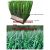 High Quality Non-infilled Soccer Grass Football Grass Futsal Artificial Grass For Football Field