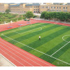 Gazon artificiel de Futsal d'herbe de Football Non rempli de haute qualité pour le terrain de Football