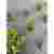 Professional Artificial Foliage Factory Various Types Artificial Leaves For Premium Landscape Wall Scene