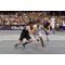 Complete basketball court one-stop procurement