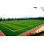 Cage Football Field with Strong Steel Fence and Shock Absorption Turf Surface