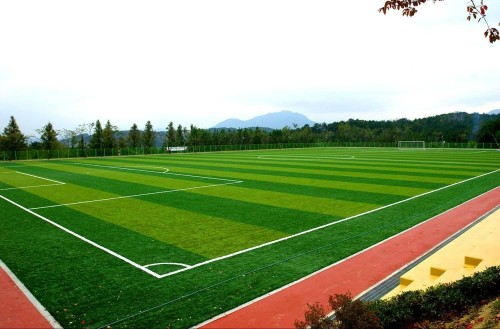 Cage Football Field with Strong Steel Fence and Shock Absorption Turf Surface