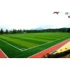 Cage Football Field with Strong Steel Fence and Shock Absorption Turf Surface