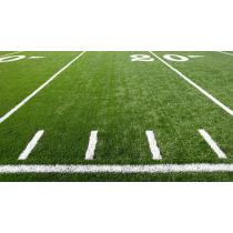 Cage Football Field with Strong Steel Fence and Shock Absorption Turf Surface