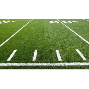 Cage Football Field with Strong Steel Fence and Shock Absorption Turf Surface