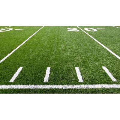 Cage Football Field with Strong Steel Fence and Shock Absorption Turf Surface