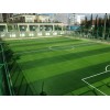 Durable Non-infill Football Artificial Grass Thick PP Backing Soccer Pitch Sports Synthetic Turf