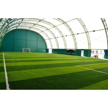Professional Outdoor Cage Football Field with Artificial Turf and Durable Fence System