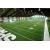 Durable Non-infill Football Artificial Grass Thick PP Backing Soccer Pitch Sports Synthetic Turf