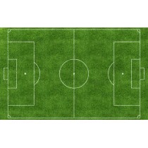 High Quality Artificial Grass Cage Football Field with LED Lighting System