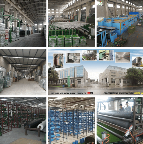 Our Factory