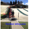 Artificial Ski Grass for Indoor Skiing Training with Artificial Turf
