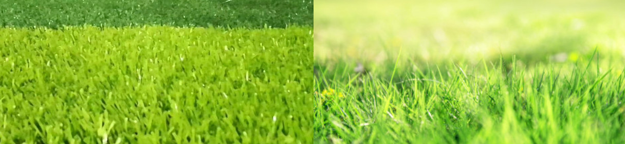 Artificial grass VS natural grass