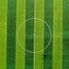4 equipos que todo nuevo estadio de fútbol necesita