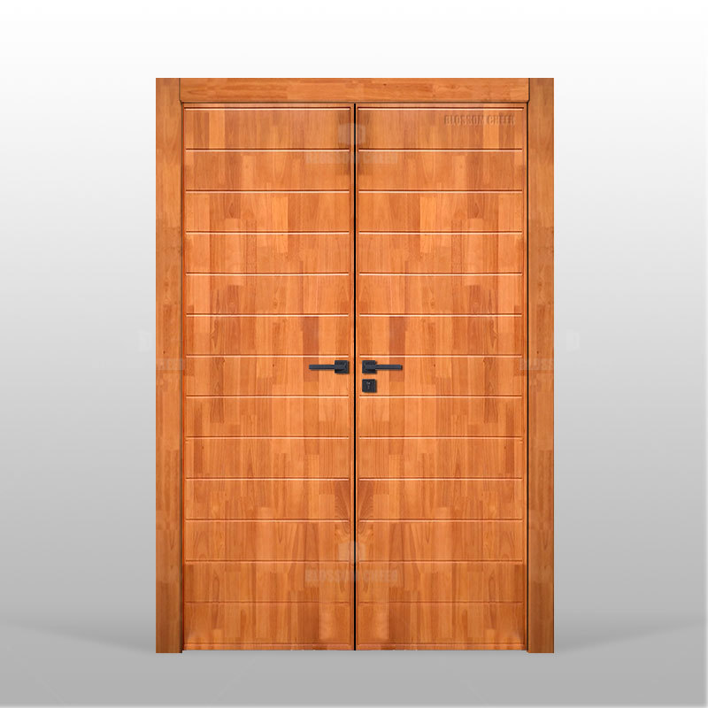 Double Entrance door