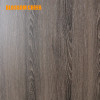 Europe Vintage Flat WPC Environmental-Friendly Paint Free Finish Door For Kitchen