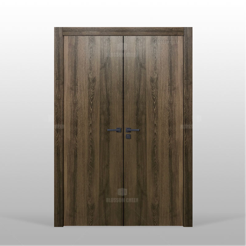 Double Entrance door