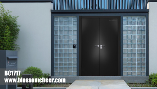 North American Modern Style Black Flat Wooden Lacquer Paint Entrance Door