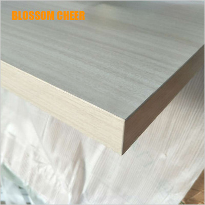 European Modern Metal Strip Wooden Melamine Paint Free Door For Apartment Project