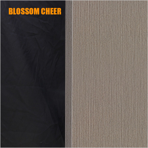 Chinese Style Modern Golden Metal Block Carbon Crystal Paint Free Wooden Door