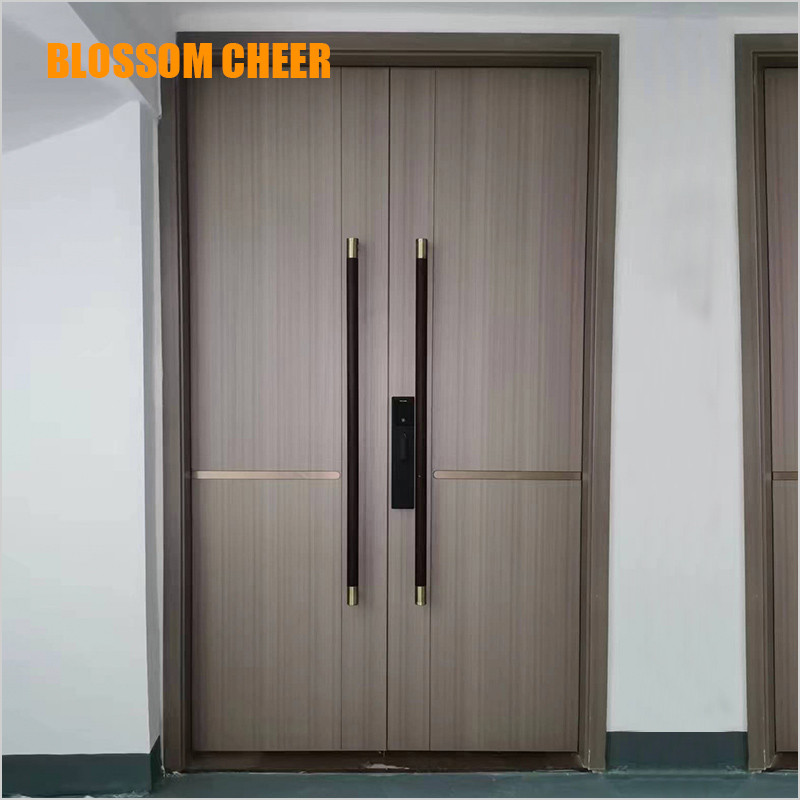 Carbon Crystal Door With Other Styles