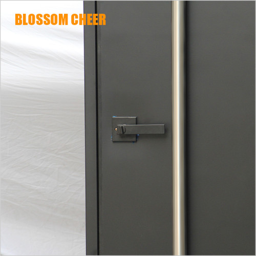 American Modern BLOSSOM CHEER Galvanized Steel Front Metal Door For Villa Project.