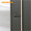 American Modern BLOSSOM CHEER Galvanized Steel Front Metal Door For Villa Project.