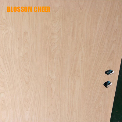 Chinese Traditional Flat HPL Wooden Fireproof Double Doors For Office Project