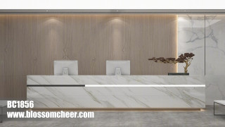 European Style Technology Veneer Paint Wooden Wainscoting For Office Project