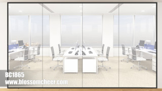 Asian Modern Aluminum Alloy Glass Frame Floor Glass Partition For Office Project