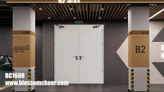 Asian Commercial Style UL Standard Steel Flat Fire Rate Door For Hotel Project