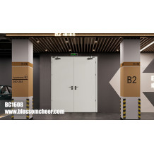 Asian Commercial Style UL Standard Steel Flat Fire Rate Door For Hotel Project