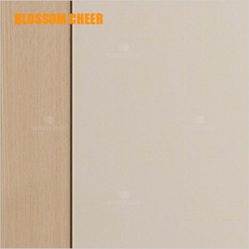 Nordic Minimalist Style High-end Painted Wooden Pocket Door For Villa Project