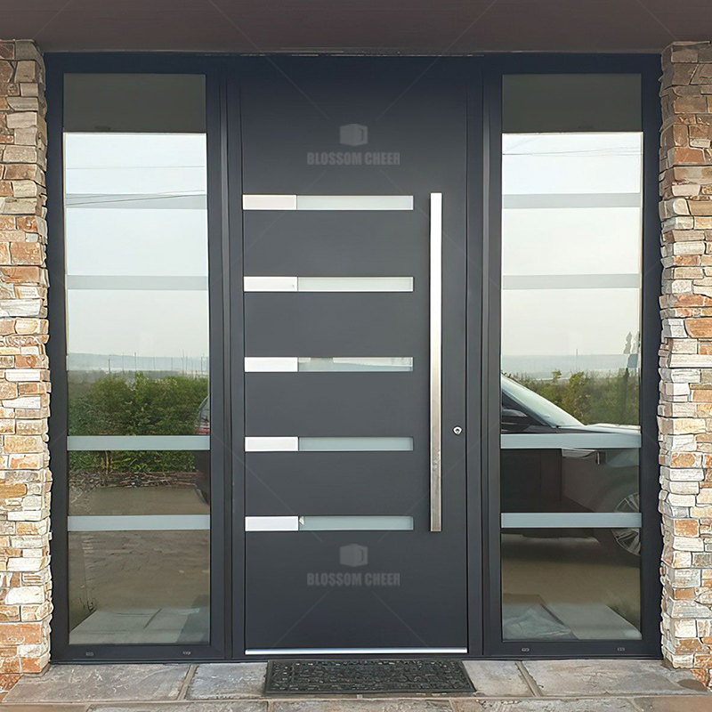 BC2100 Stainless steel door finish picture