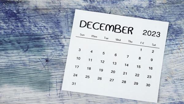 Сроки оформления заказа и праздничное оформление от BLOSSOM CHEER