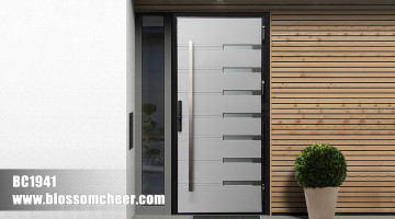 Premium 304 stainless steel dual-color glass doors for interior & exterior, meeting global B2B needs