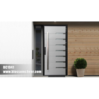 Premium 304 stainless steel dual-color glass doors for interior & exterior, meeting global B2B needs