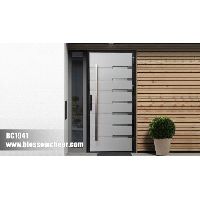 Premium 304 Stainless Steel Dual-Color Glass Door for Interior and Exterior - Customizable Solutions for Global B2B Clients