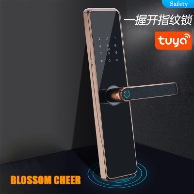 Advanced Access Control: Smart Fingerprint Locks for Residential and Commercial Needs