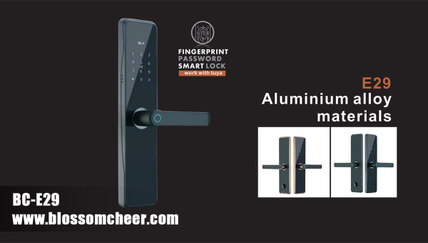 Advanced Access Control: Smart Fingerprint Locks for Residential and Commercial Needs
