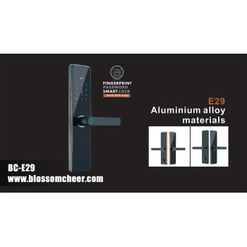Advanced Access Control: Smart Fingerprint Locks for Residential and Commercial Needs