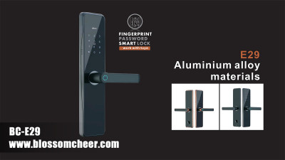 Advanced Access Control: Smart Fingerprint Locks for Residential and Commercial Needs