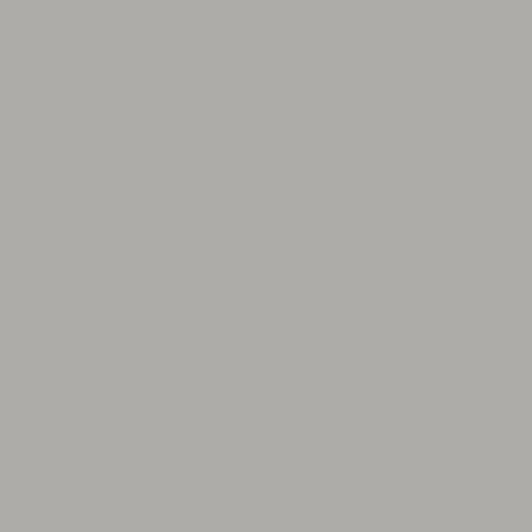 Monochrome Gray(Pearl Velvet)
