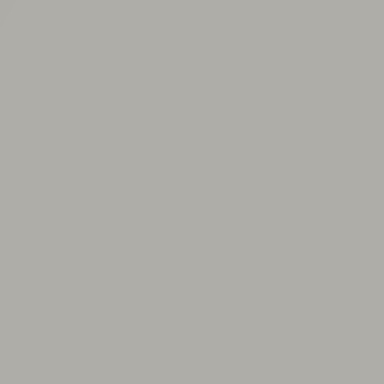 Monochrome Gray(Pearl Velvet)