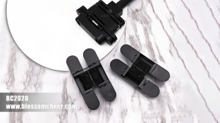 Invisible Door Concealed Interior 3d Adjustable Hidden Self Closing Hinges