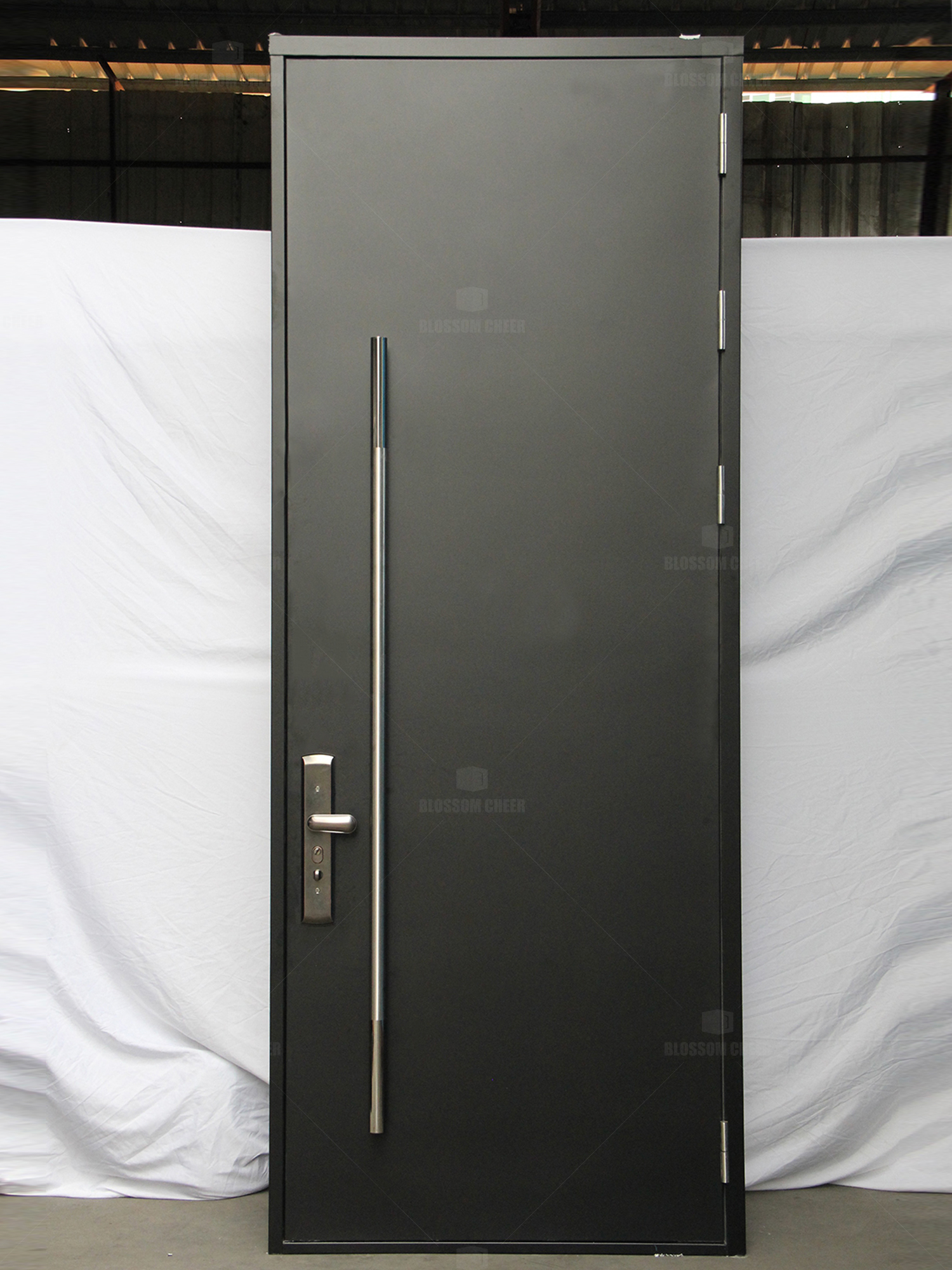 BC1699 flat design matter finish galvanized steel door