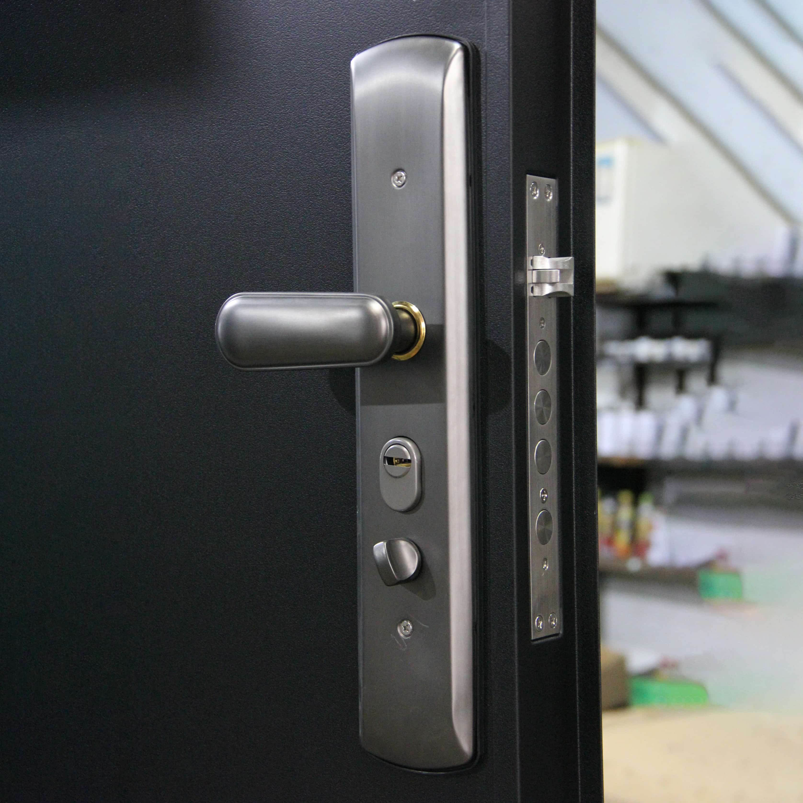 Security door lock